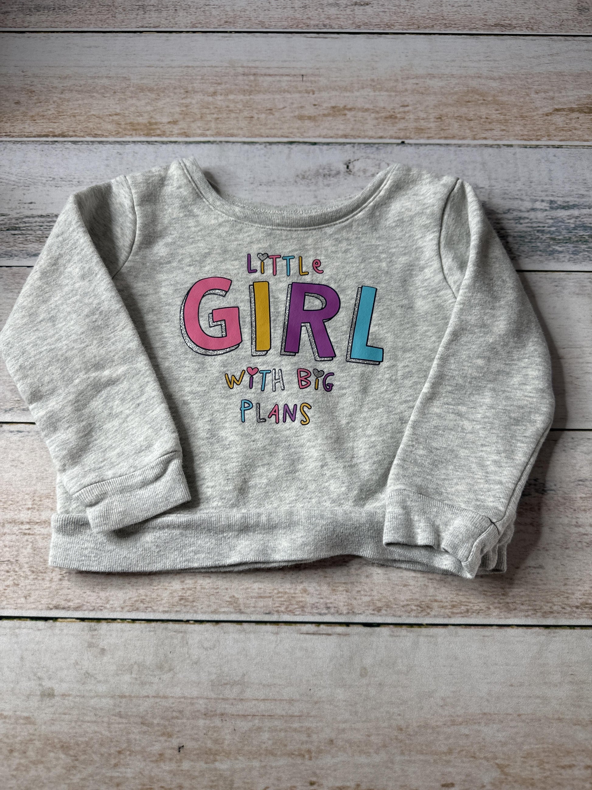 Granimals Unisex Sweatshirt Size: 24 months