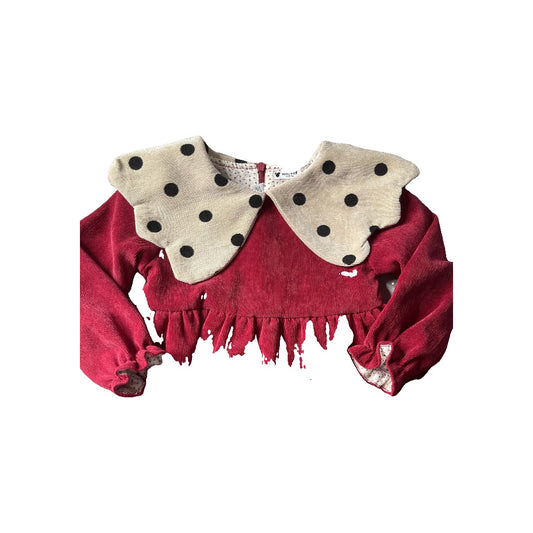 Girls Dress Size: 2T