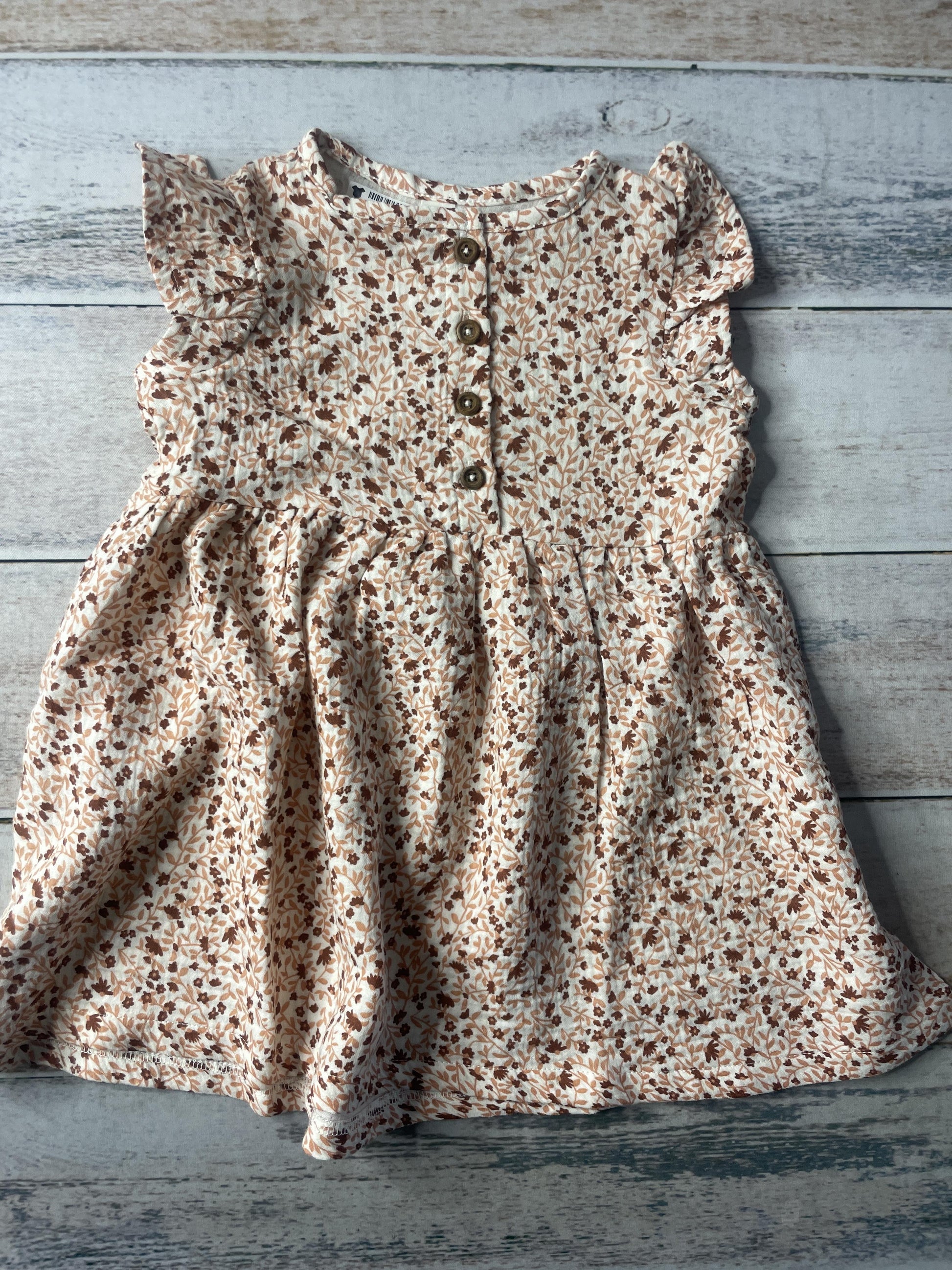 Colored Organics Girls Dress Size: 2T