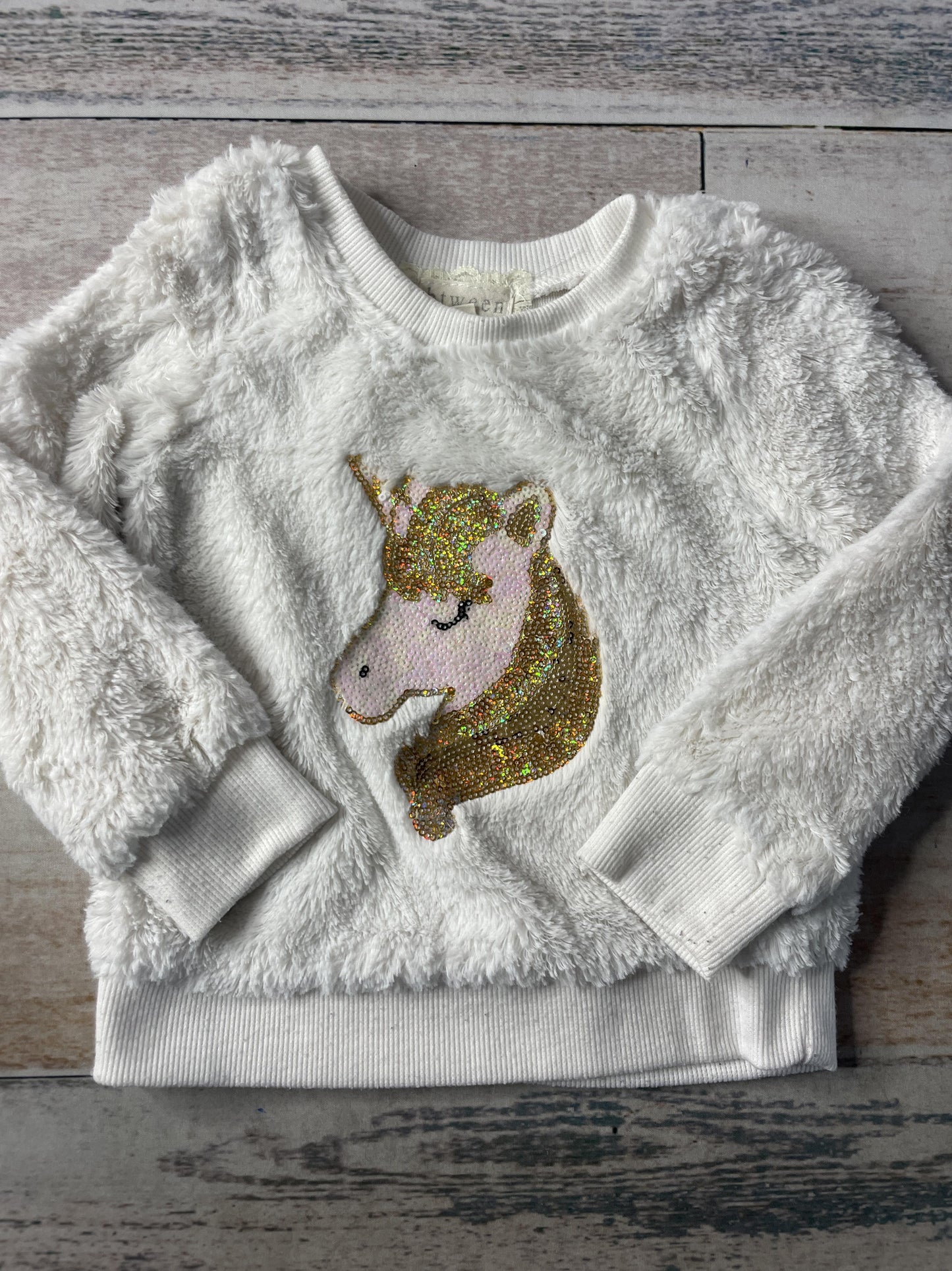 Unisex Sweater Size: 2T