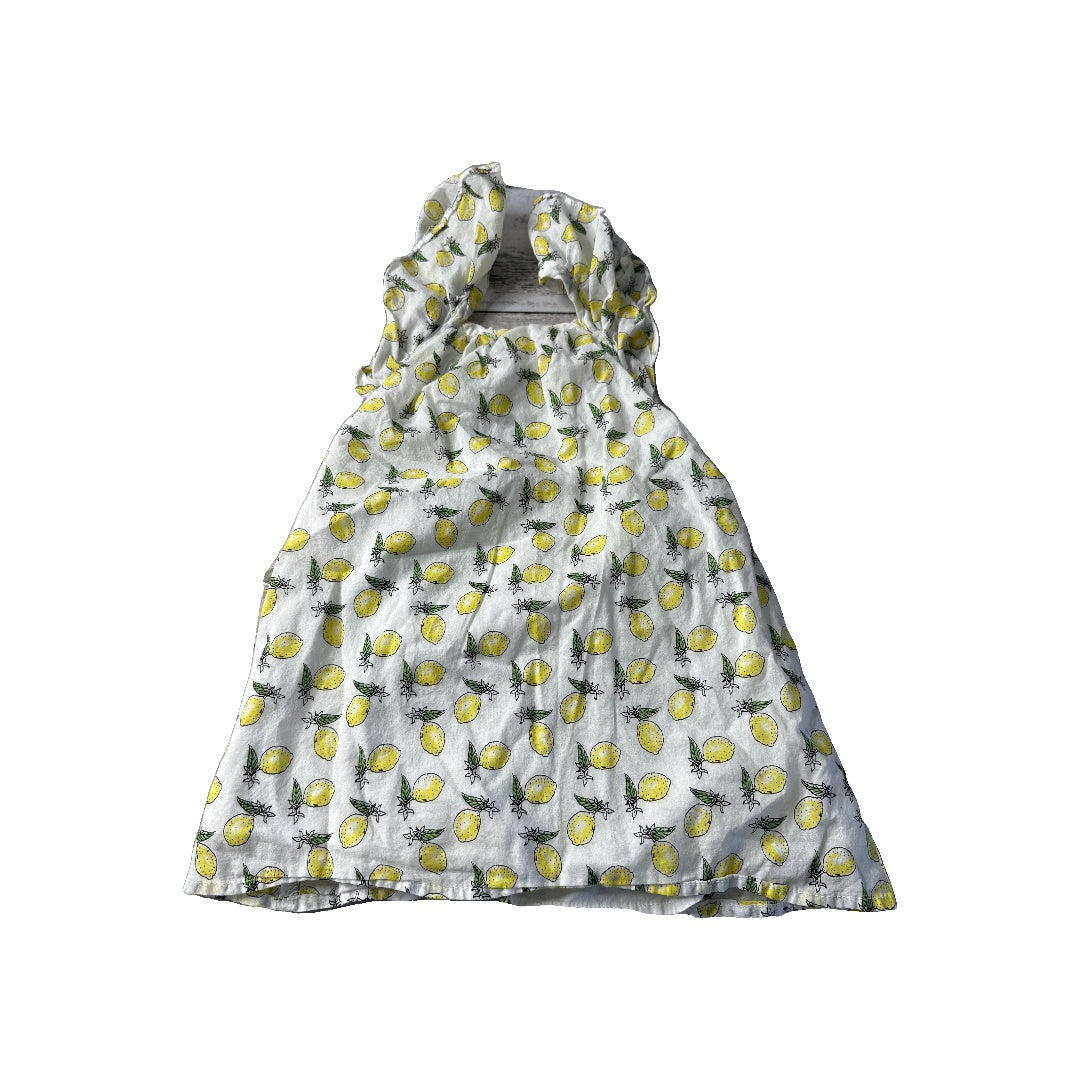 Girls Dress Size: 2T