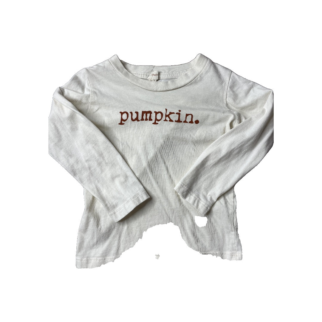 Tenth + Pine Unisex Long Sleeve T-Shirt Size: 2T