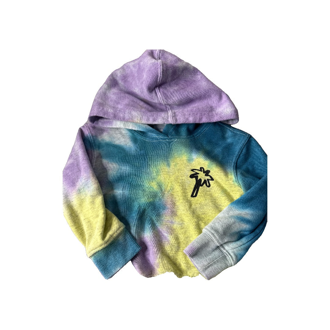 Unisex Hoodie Size: 2T