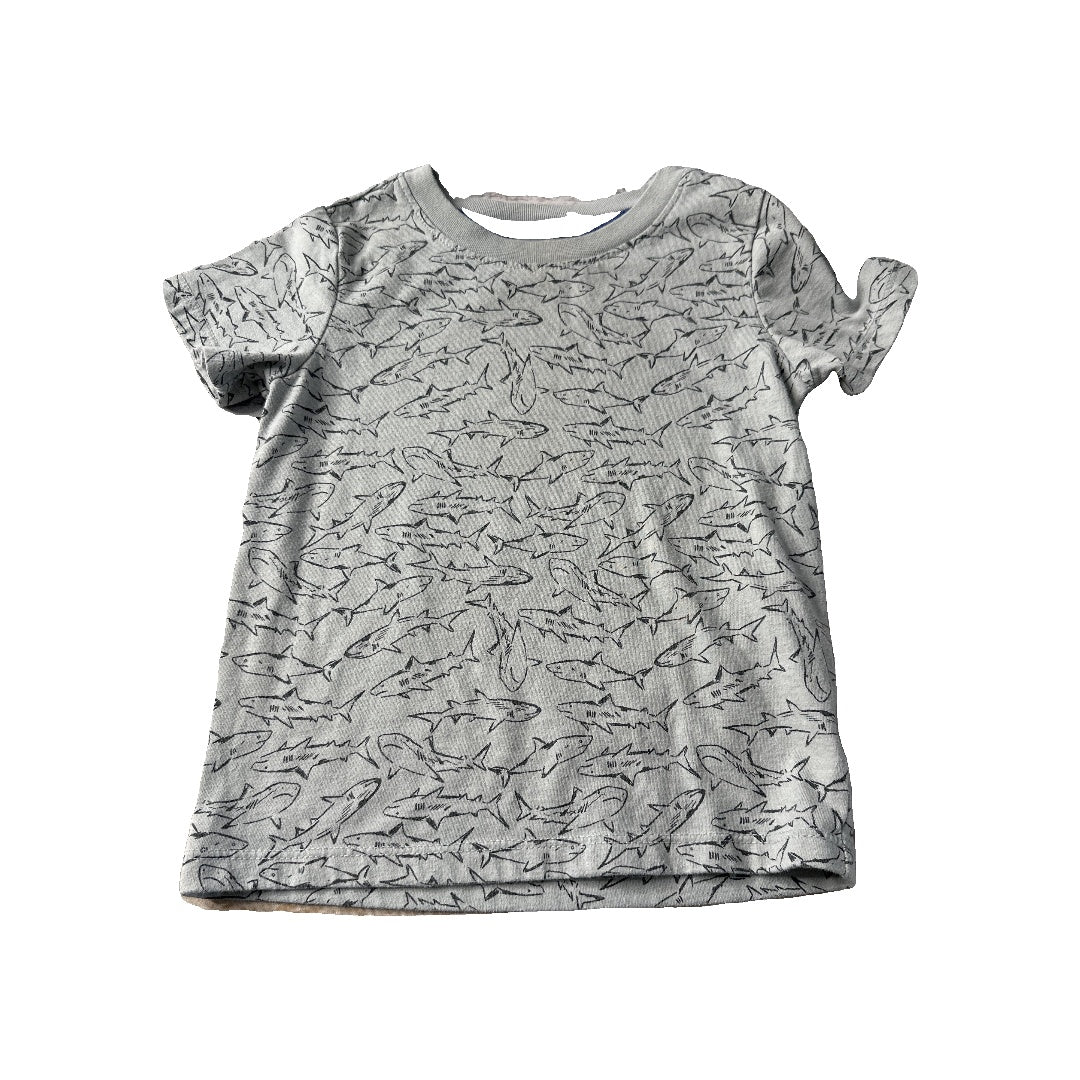 Unisex T-Shirt Size: 2T