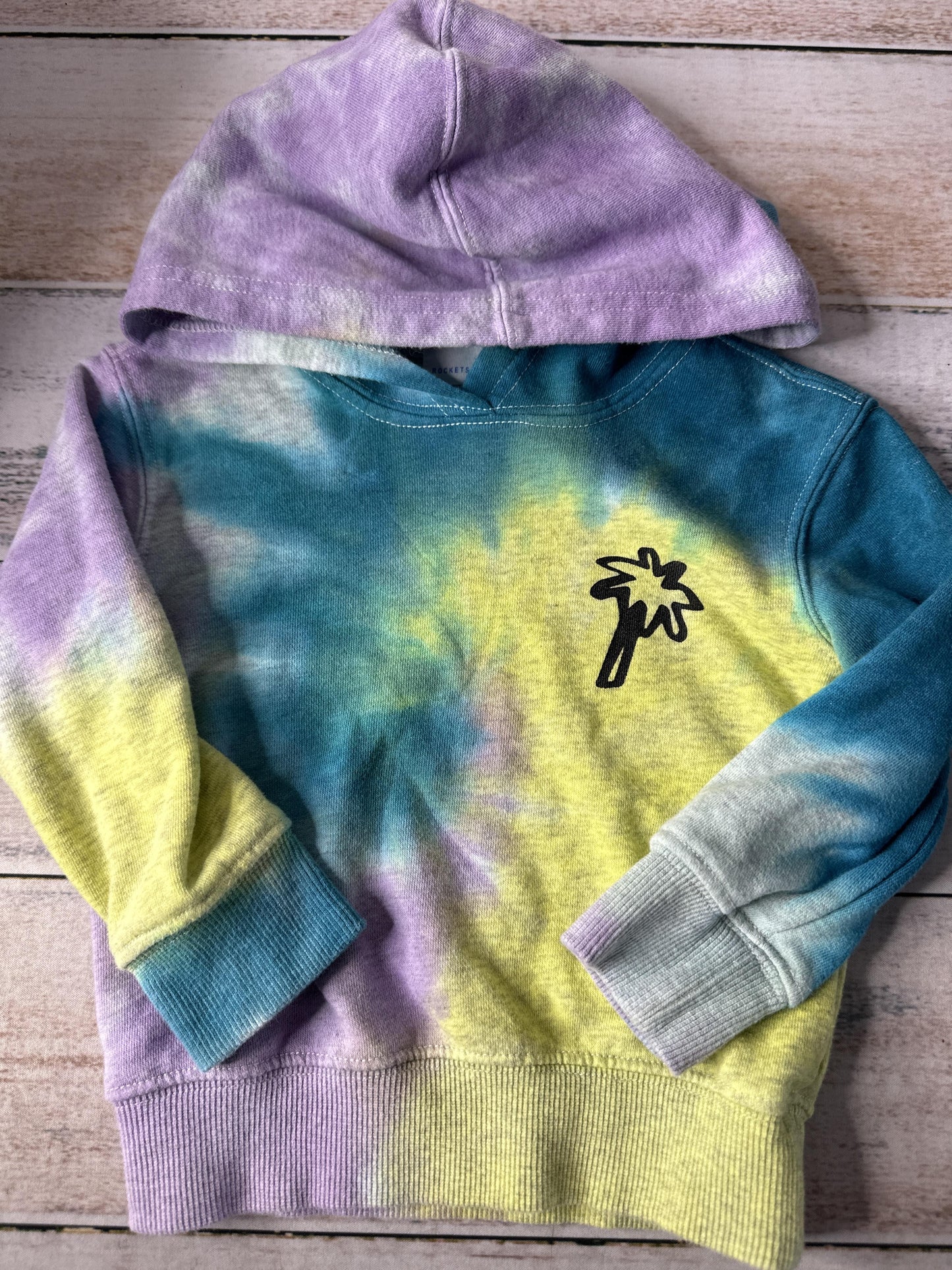 Unisex Hoodie Size: 2T