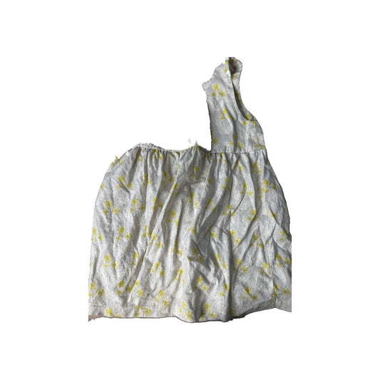 Girls Dress Size: 2T