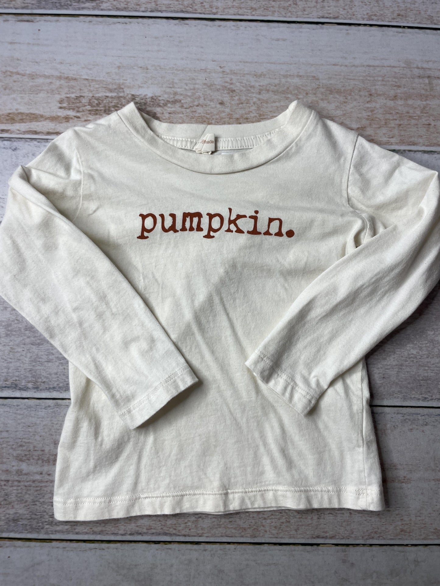 Tenth + Pine Unisex Long Sleeve T-Shirt Size: 2T