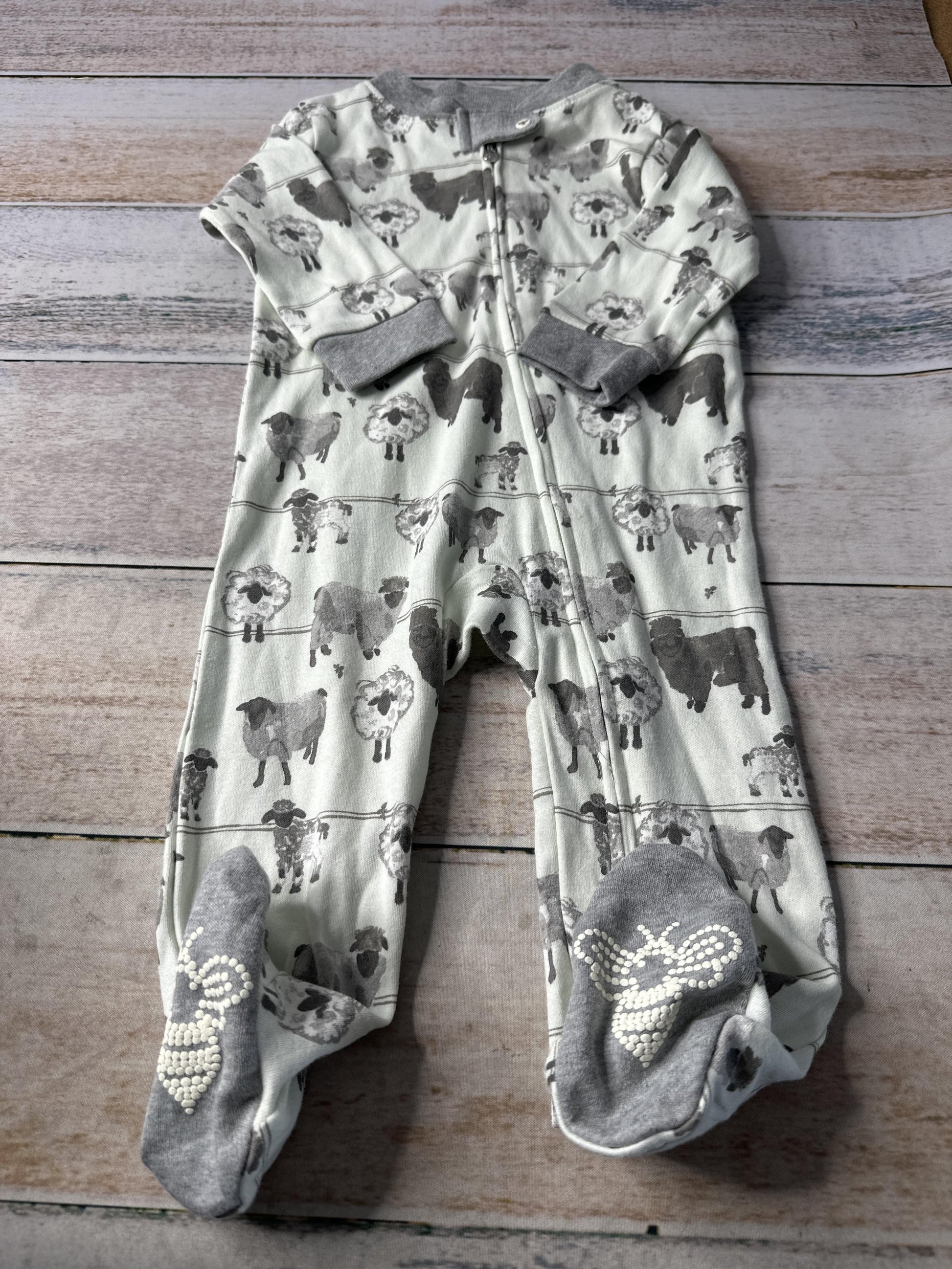 Burt's Bees Unisex Pajamas Size: 3-6 months
