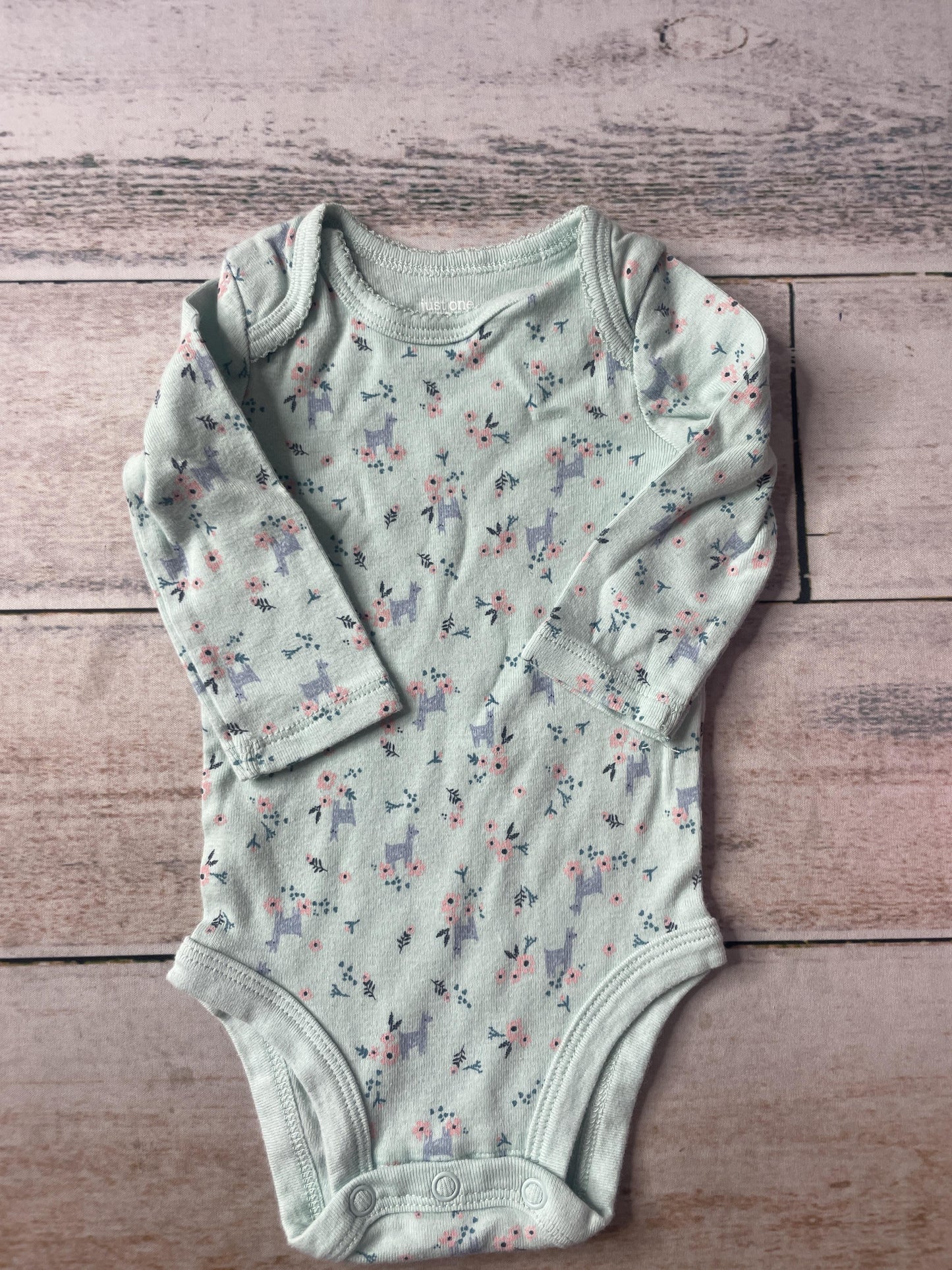 Unisex Onesie Size: 3 months