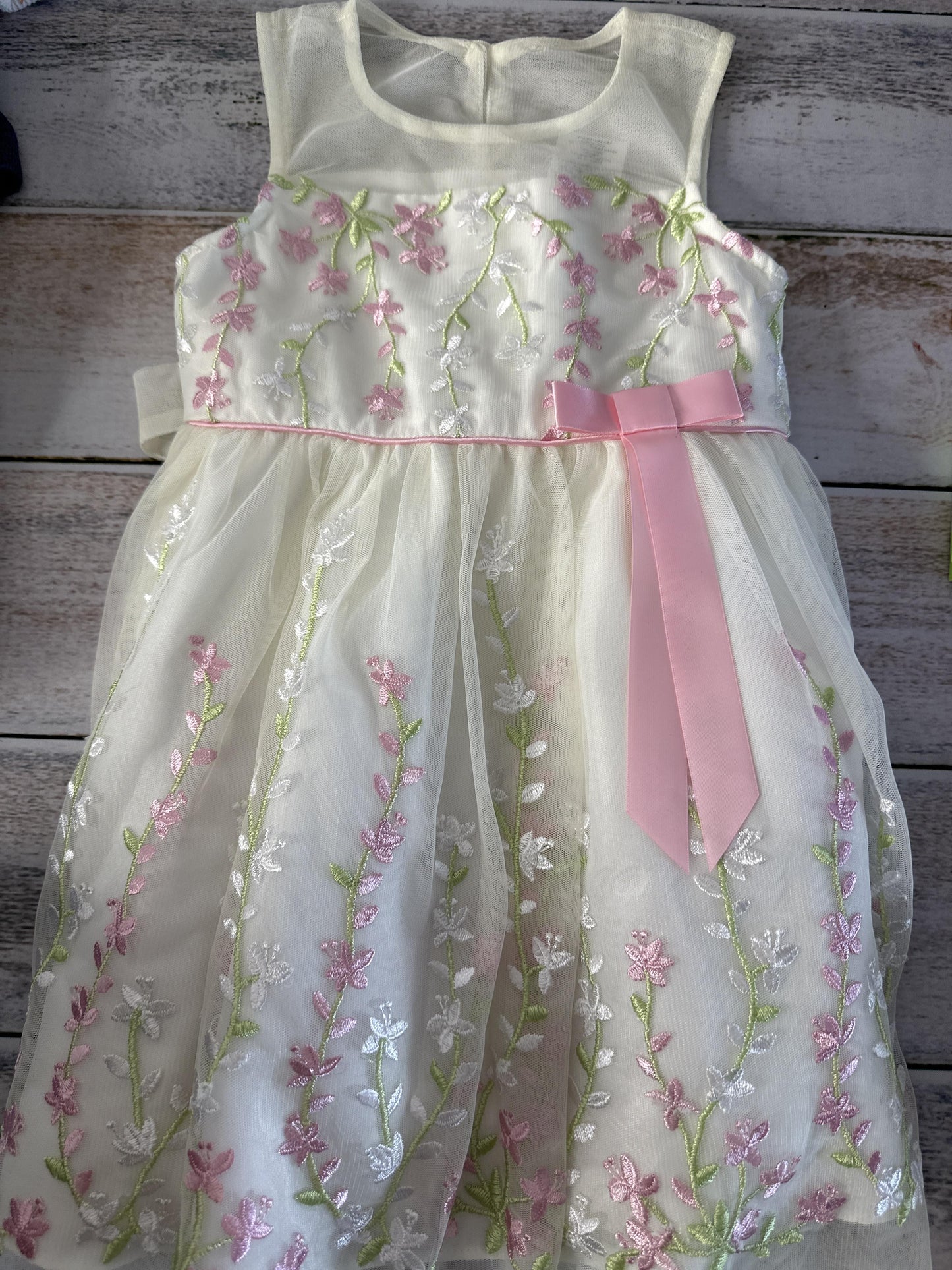 Girls Dress Size: 3T