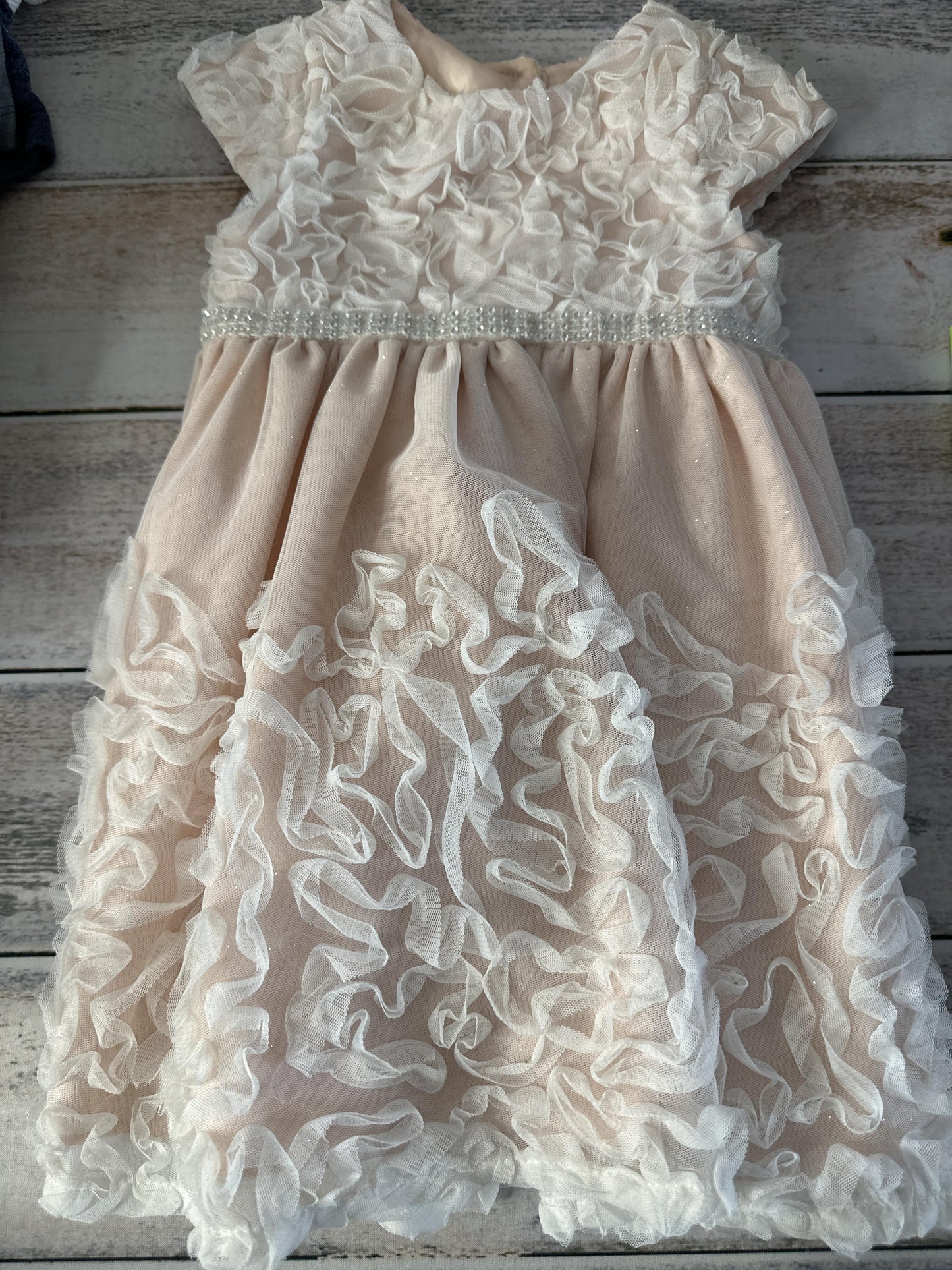 Sweet Heart Rose Girls Dress Size: 3T