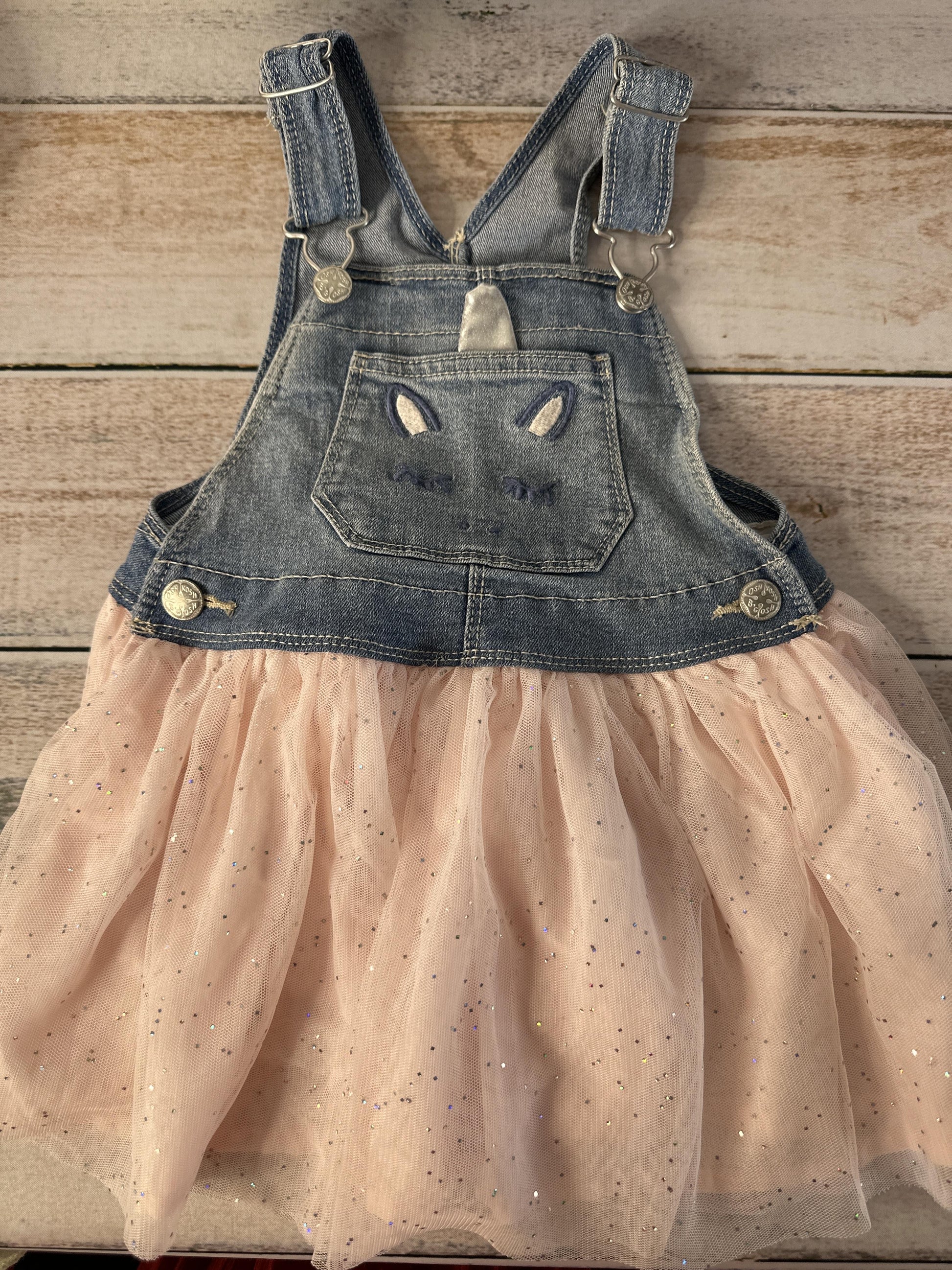 OshKosh Girls Dress Size: 3T