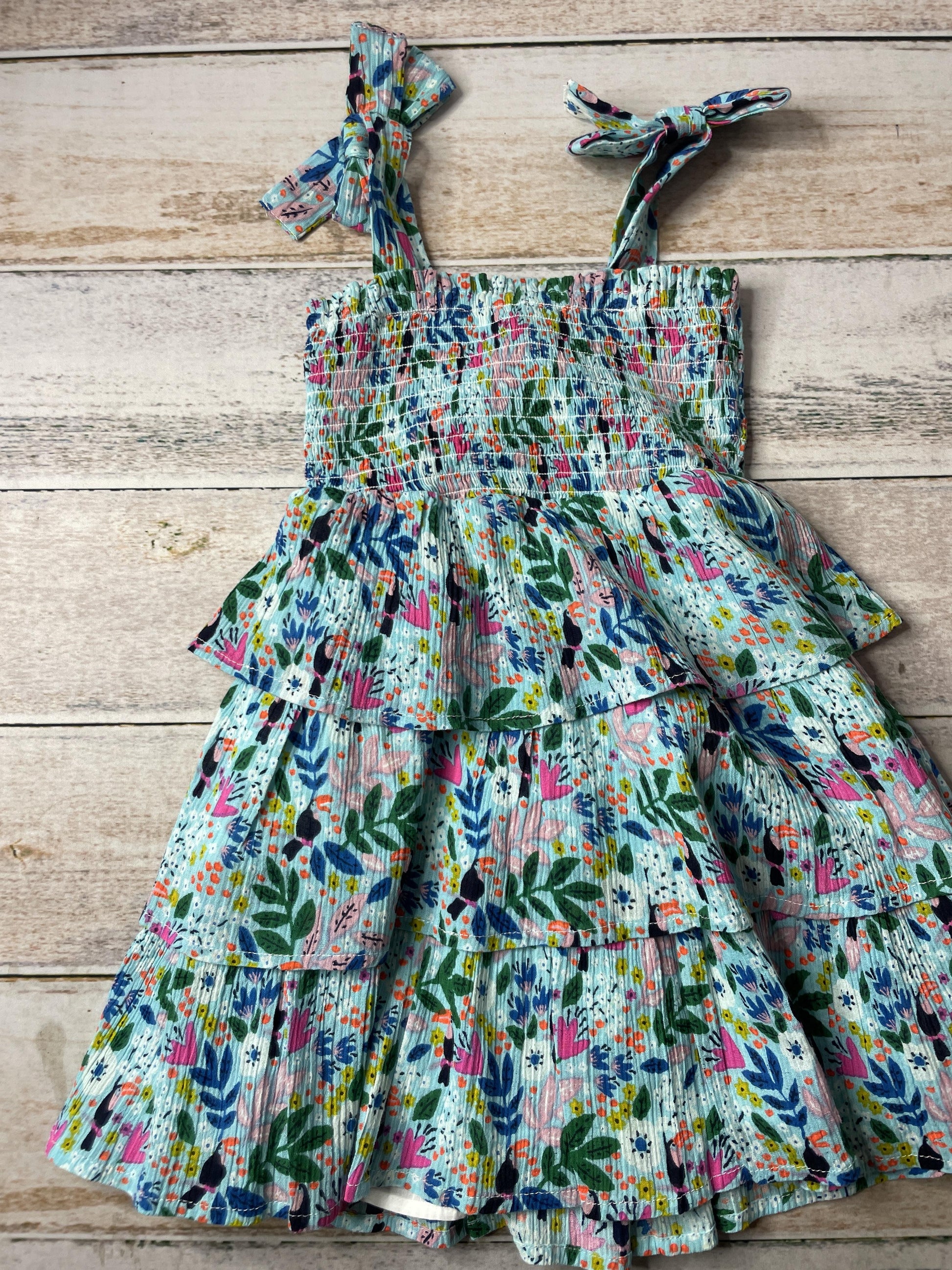 Girls Dress Size: 3T