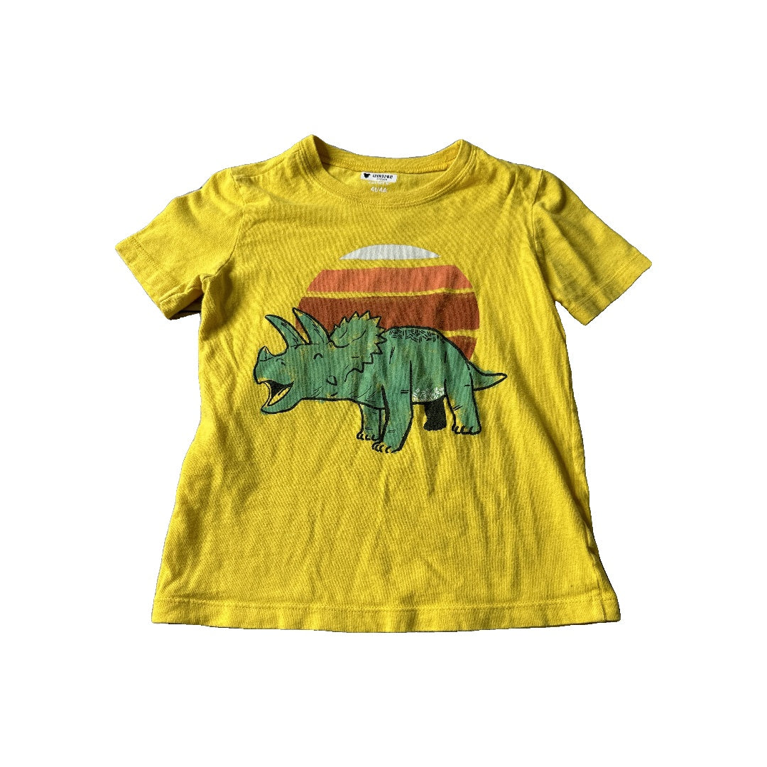 Unisex T-Shirt Size: 4T