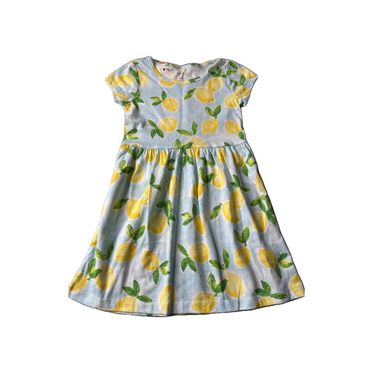 Carters Girls Dress Size: 4T