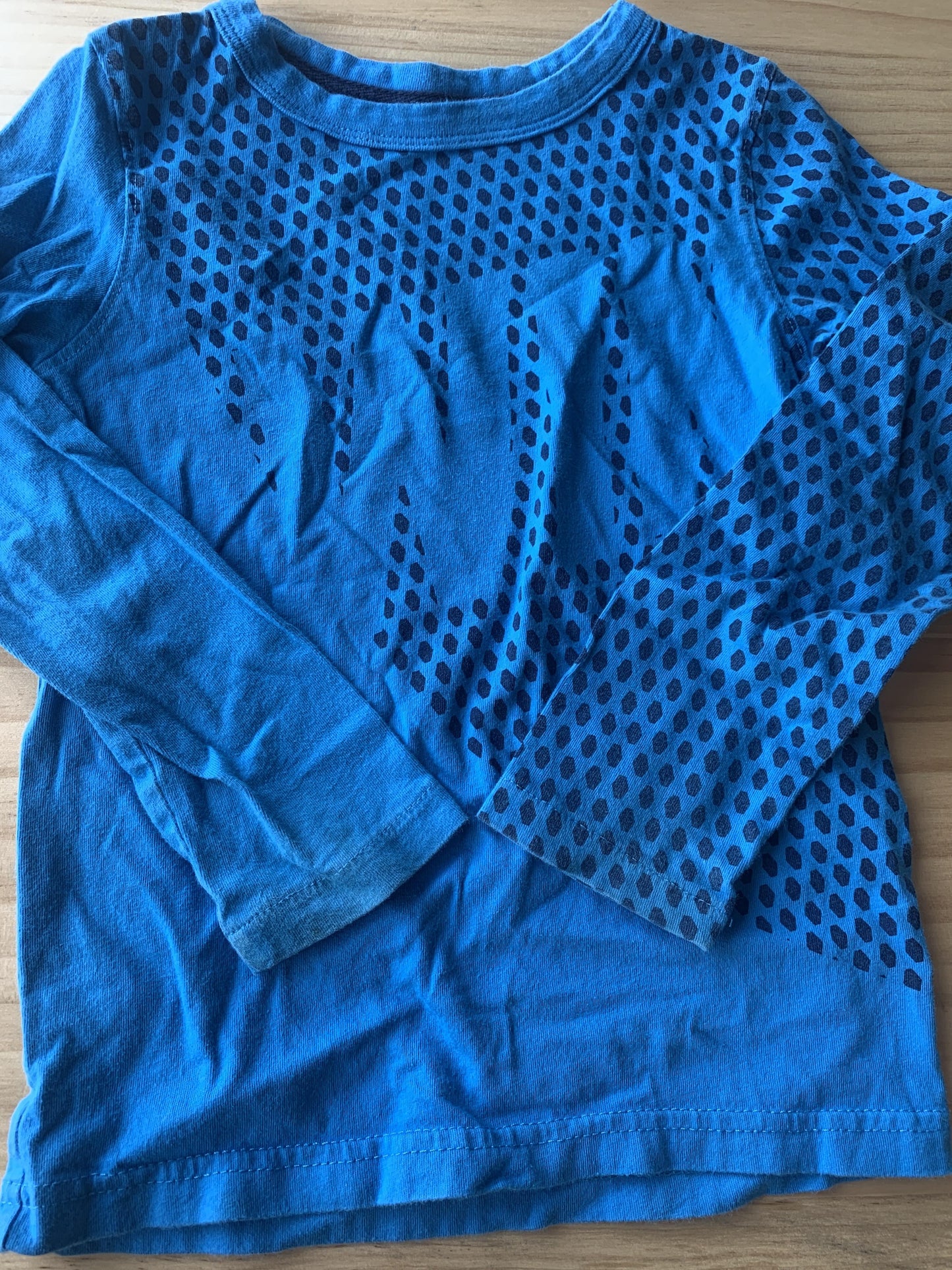 Boys Long Sleeve Shirt Size: 4T