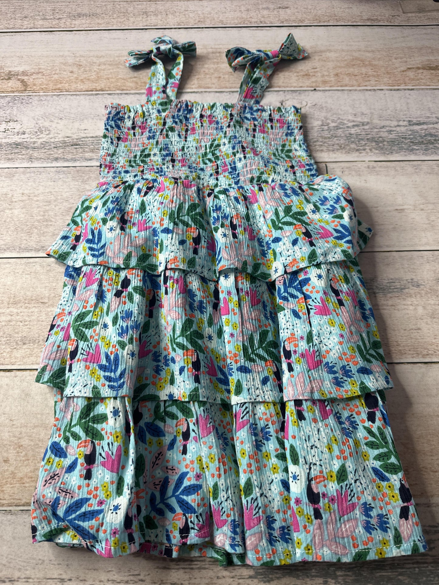 Girls Dress Size: 4T