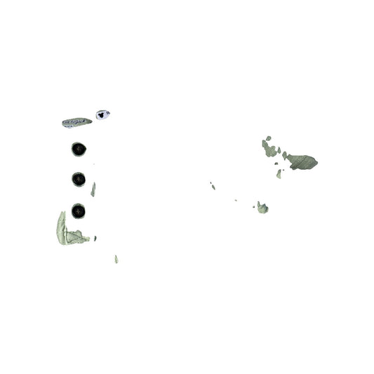 Boys Short Sleeve Shirt Size: 4T