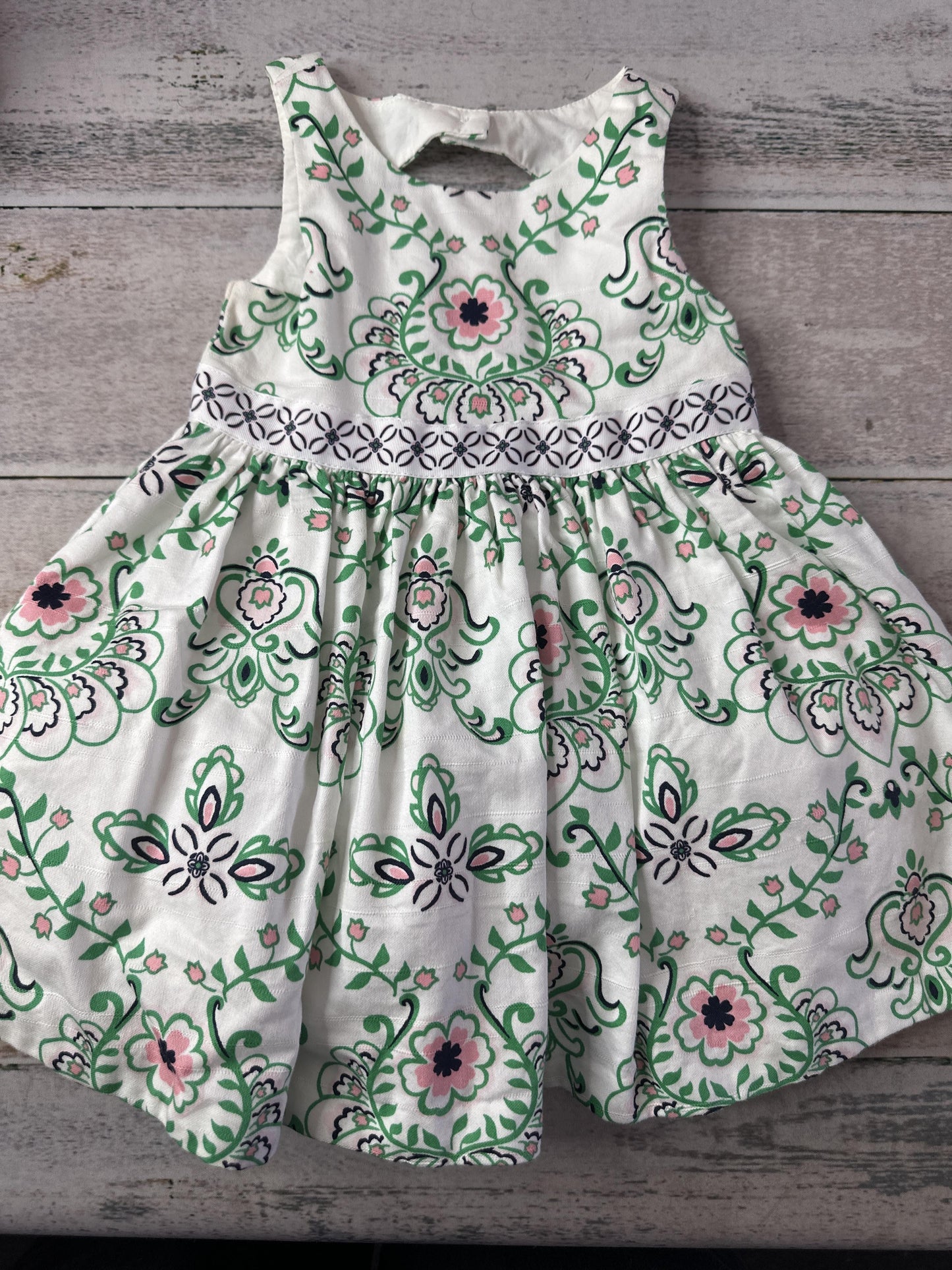 Janie and Jack Girls Dress Size: 6-12 months
