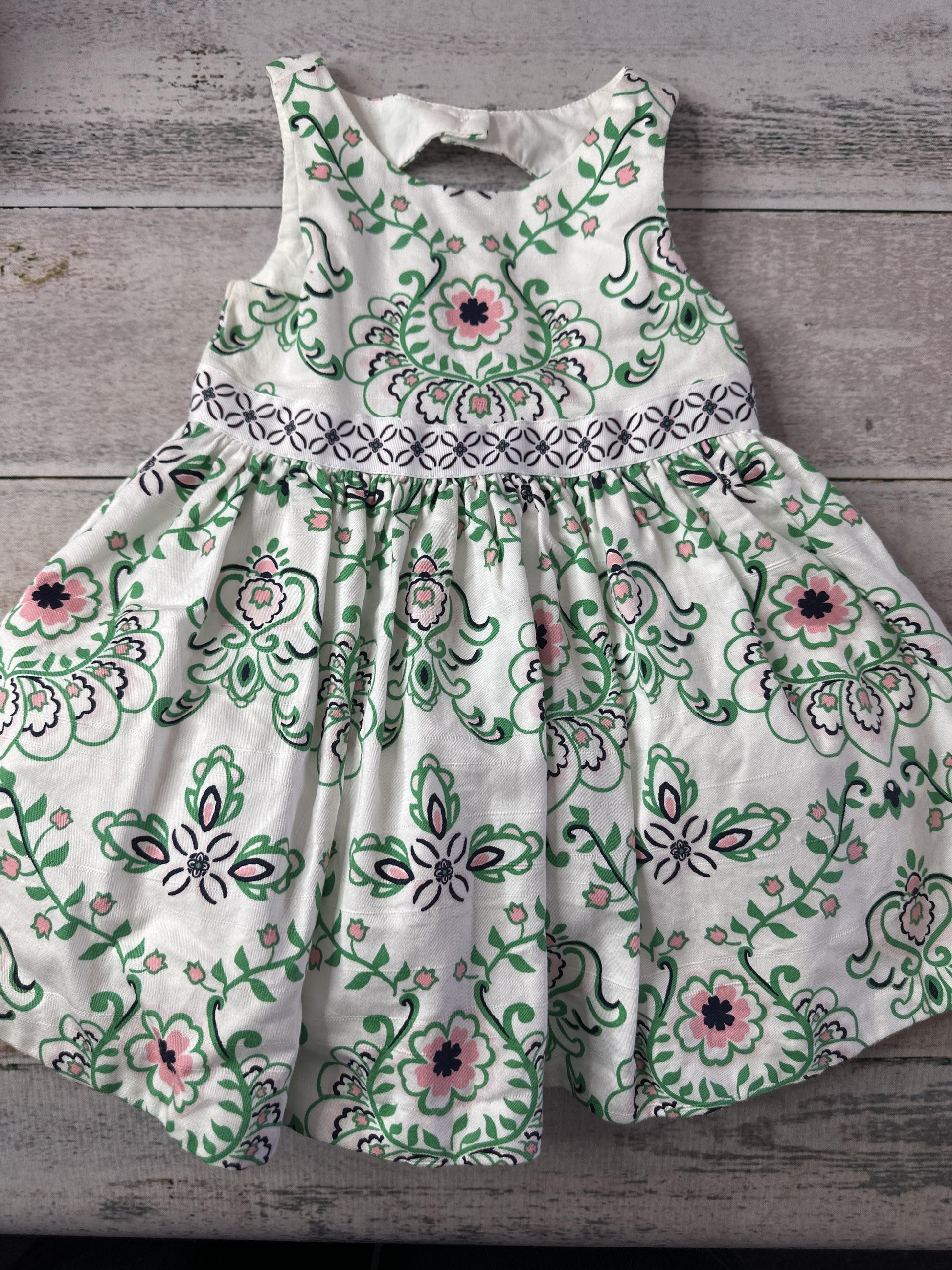 Janie and Jack Girls Dress Size: 6-12 months