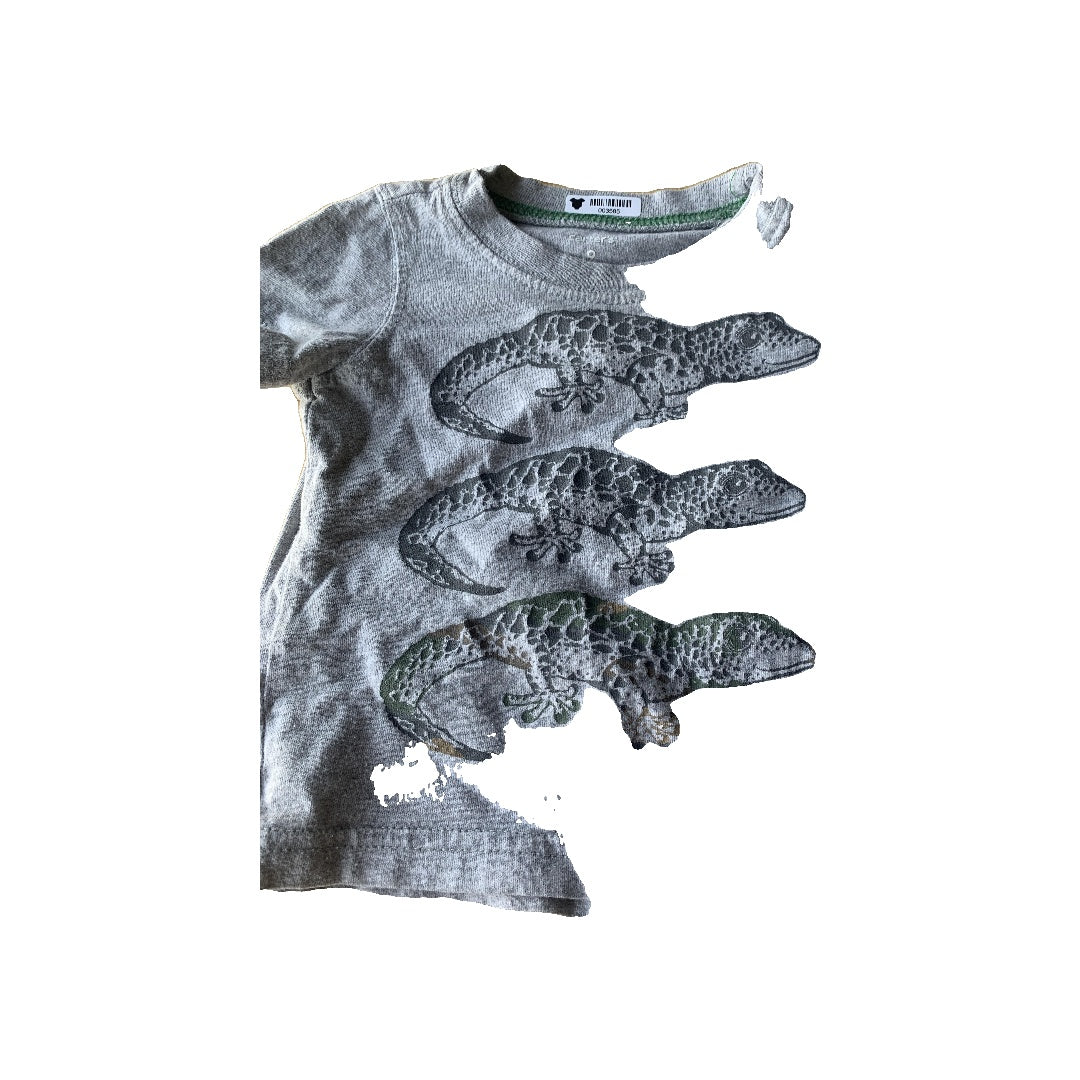 Boys T-Shirt Size: 9 months