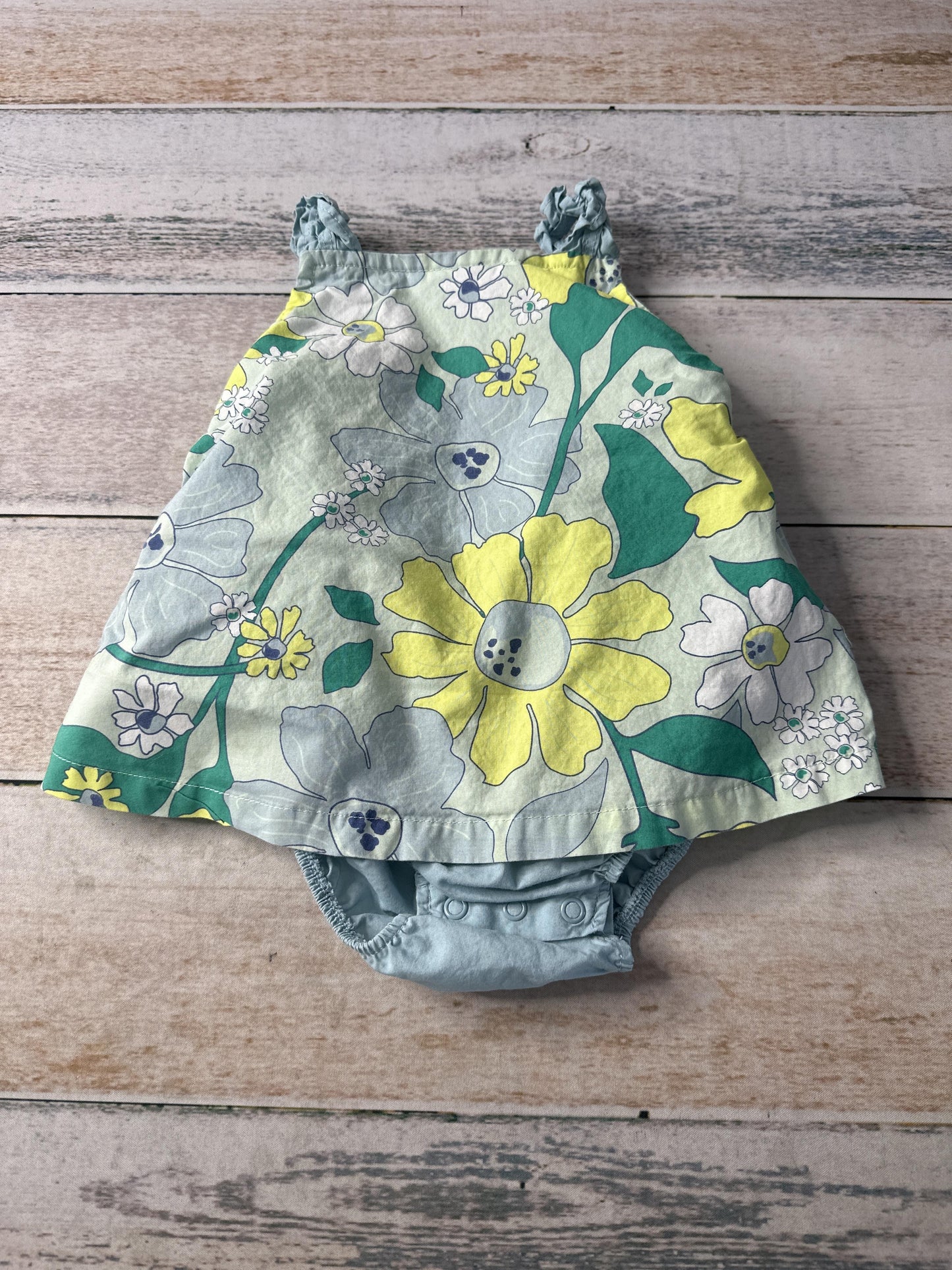 Carters Girls Dress Size: 9 months