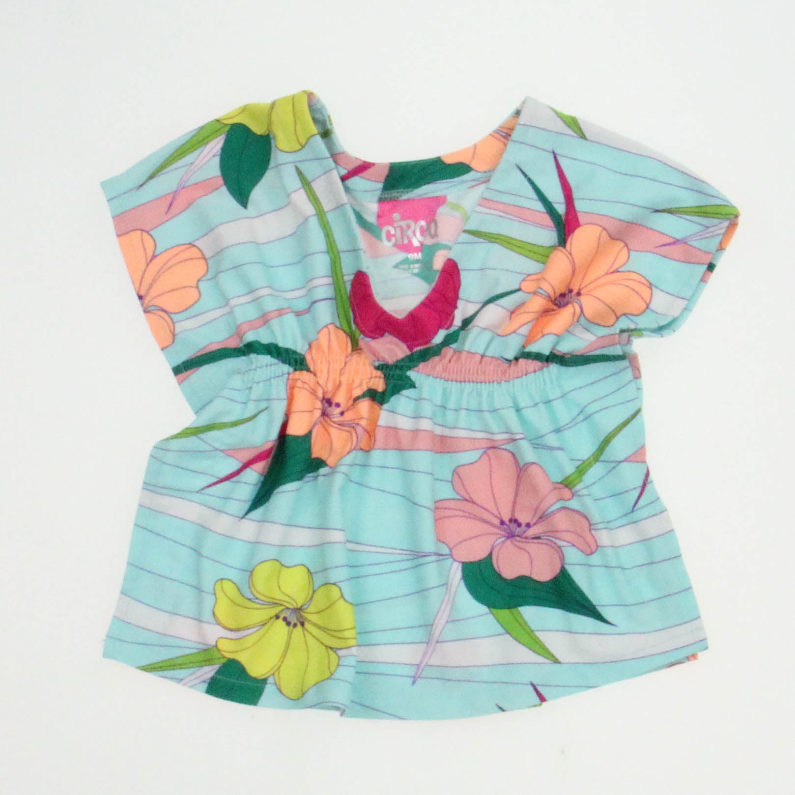 Circo Girls Blue | Multi Floral Dress Size: 9 Months Blue | Multi Floral