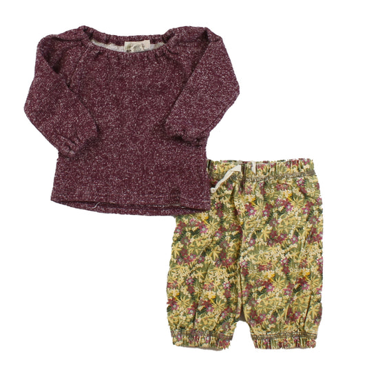 Peek Girls Maroon | Green | White Apparel Sets Size: 0-3 Months Maroon | Green | White