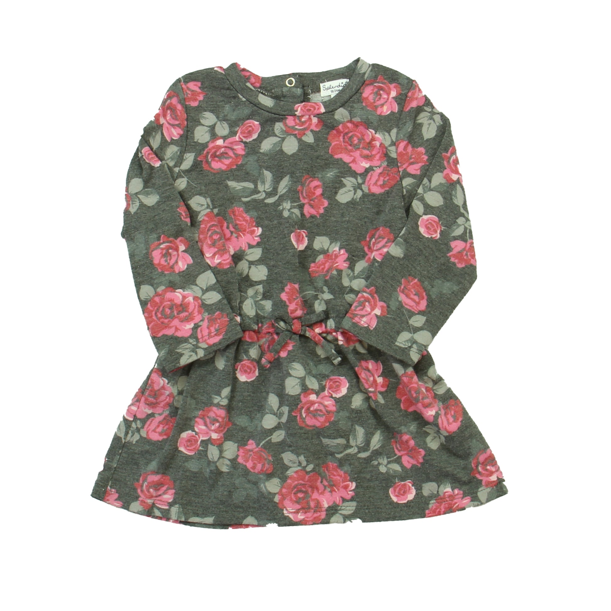 Splendid Girls Grey | Pink Roses Dress Size: 18-24 Months Grey | Pink Roses