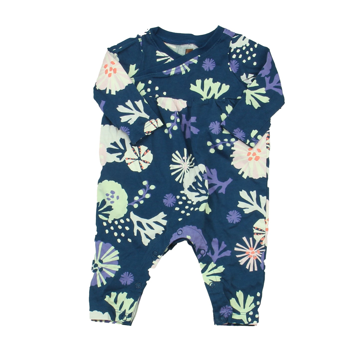 Tea Girls Blue Floral Long Sleeve Outfit Size: 0-3 Months