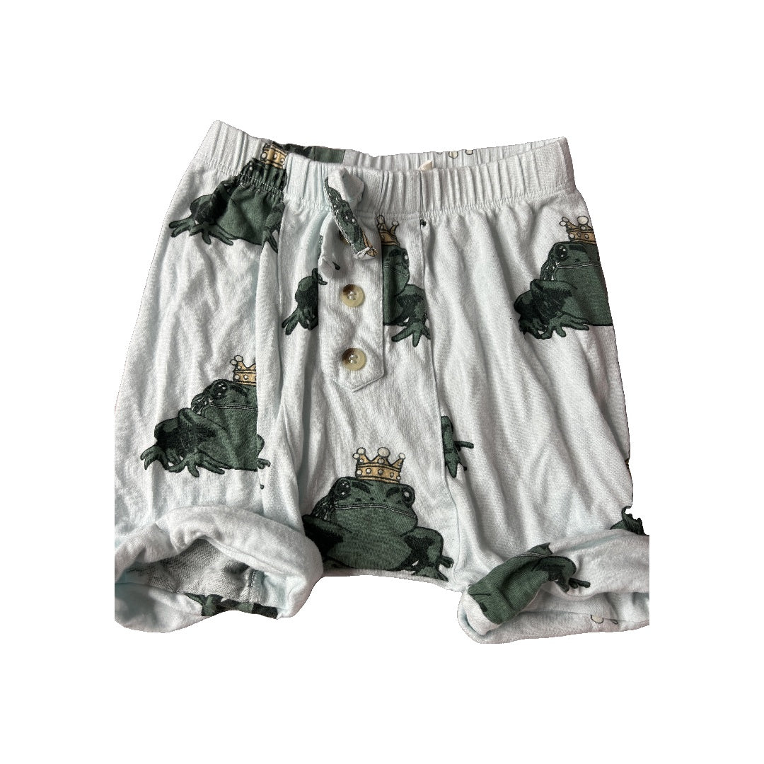 Kate Quinn Boys animals | Light Blue Shorts Size: 18-24 months animals | Light Blue