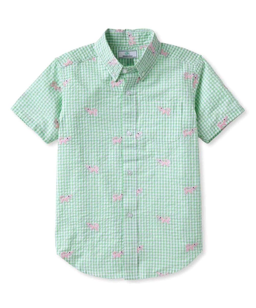 Classic Prep Boys Apple Green Gingham Button Down Short Sleeve Size: 6-14 Years Apple Green Gingham