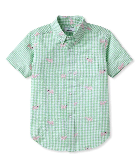 Classic Prep Boys Apple Green Gingham Button Down Short Sleeve Size: 6-14 Years