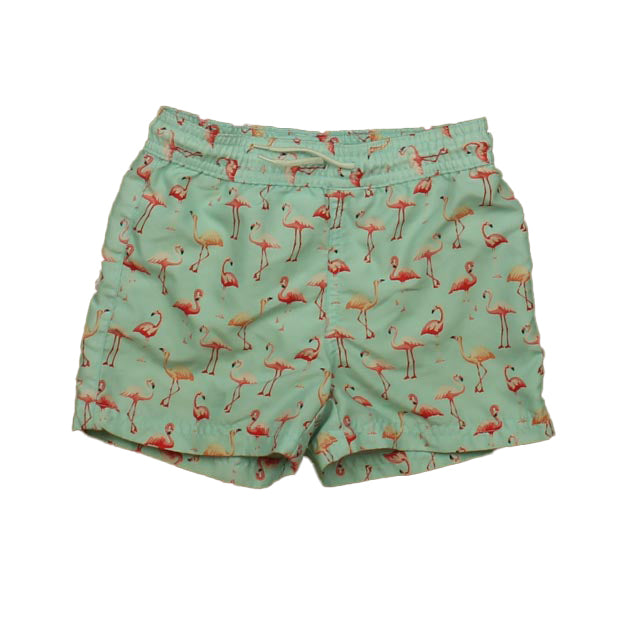 Janie and Jack Girls Aqua | Pink Flamigos Trunks Size: 3T Aqua | Pink Flamigos