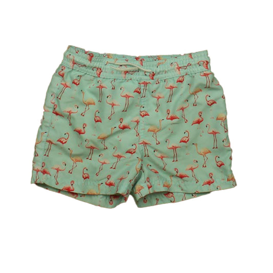 Janie and Jack Girls Aqua | Pink Flamigos Trunks Size: 3T Aqua | Pink Flamigos