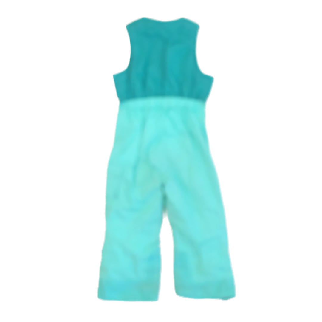 The North Face Unisex Aqua Snow Pants Size: 3T Aqua