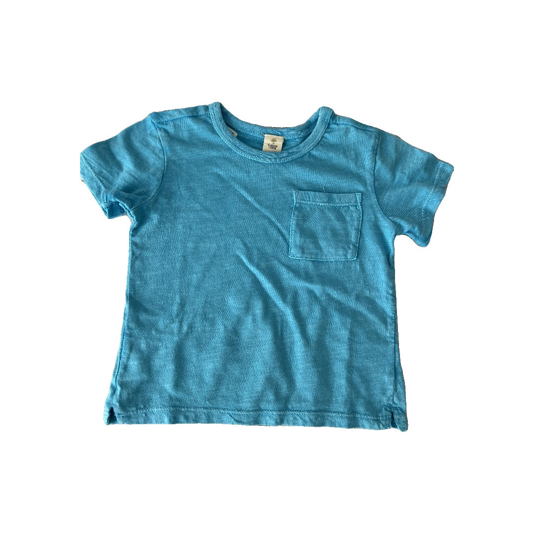 Tucker + Tate Boys Aqua T-Shirt Size: 18 months Aqua