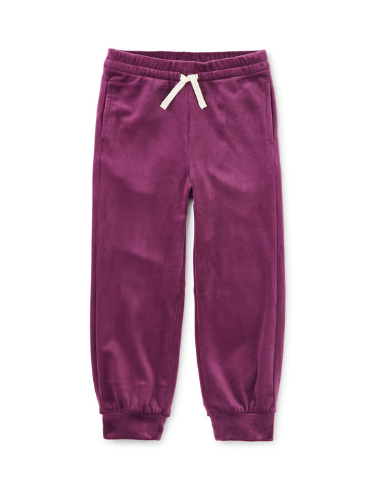 Tea Collection Girls Berry Casual Pants Size: 5T Berry