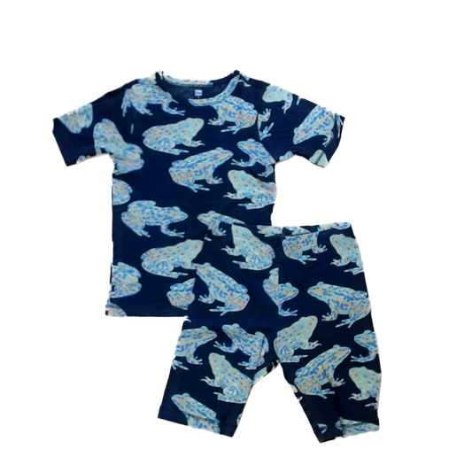 Tea Collection Boys Black | Frogs 2-piece Pajamas Size: 14 Years Black | Frogs