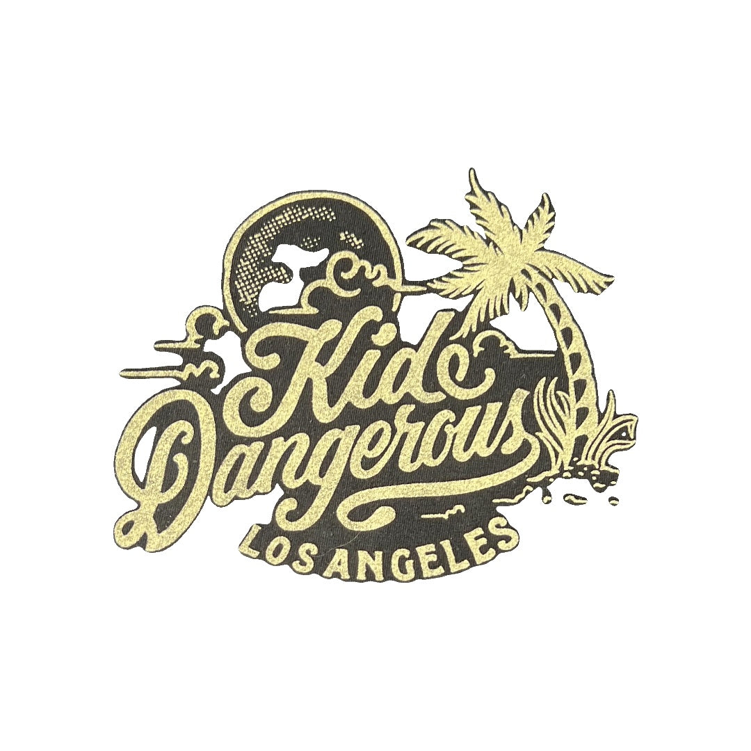 Kid Dangerous Boys Black | Graphic T-Shirt Size: 3T Black | Graphic