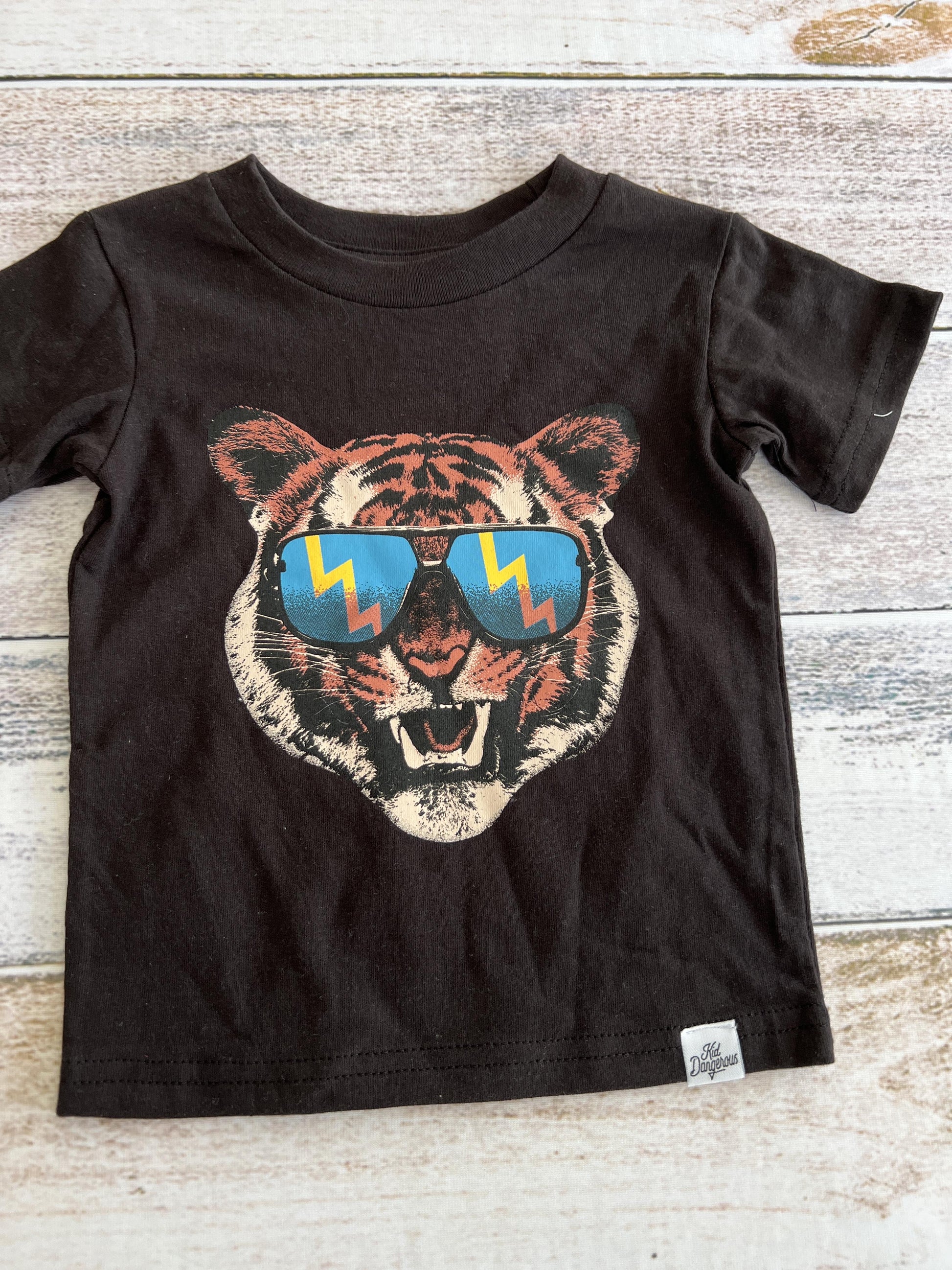 Kid Dangerous Boys Black | Graphic T-Shirt Size: 2T Black | Graphic