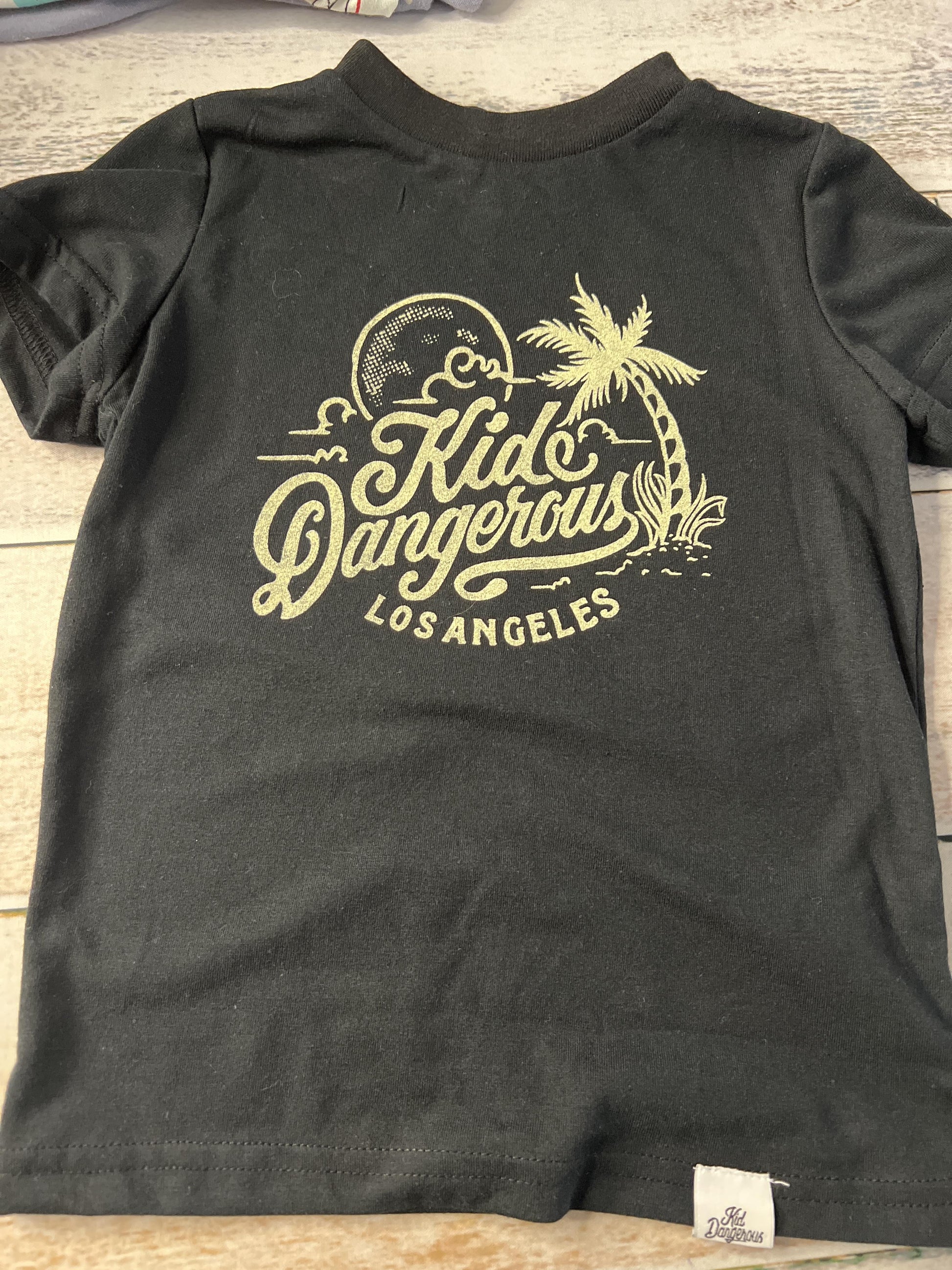 Kid Dangerous Boys Black | Graphic T-Shirt Size: 3T Black | Graphic