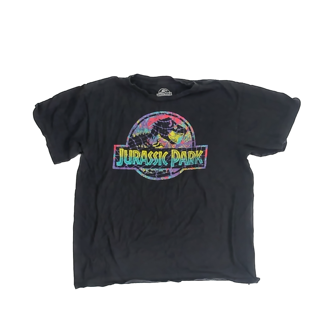 Jurassic Park Boys Black Long Sleeve T-Shirt Size: 14-16 Years Black