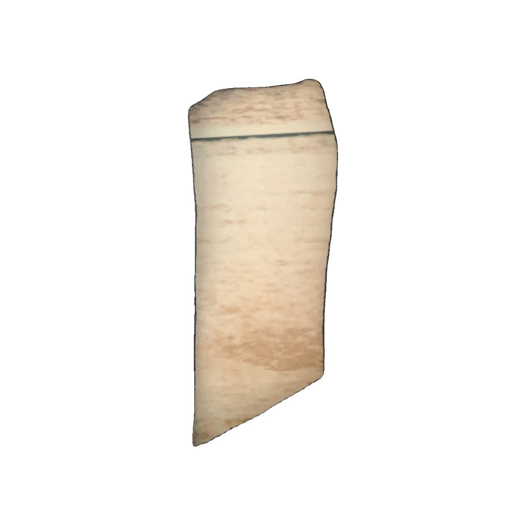 Kate Quinn Girls Black Leggings Size: 4T Black