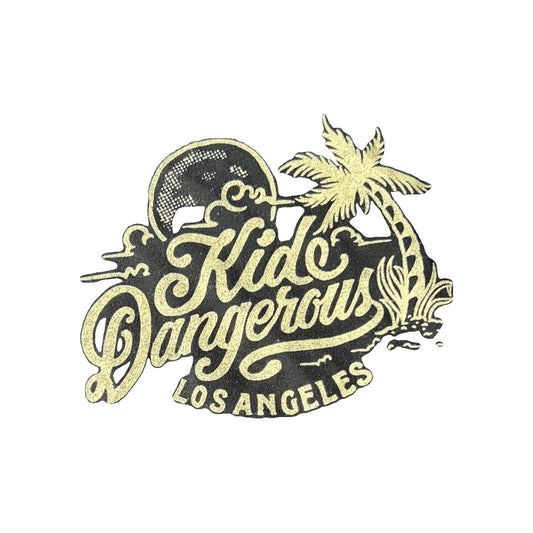 Kid Dangerous Unisex Black Shirt Size: 3T Black