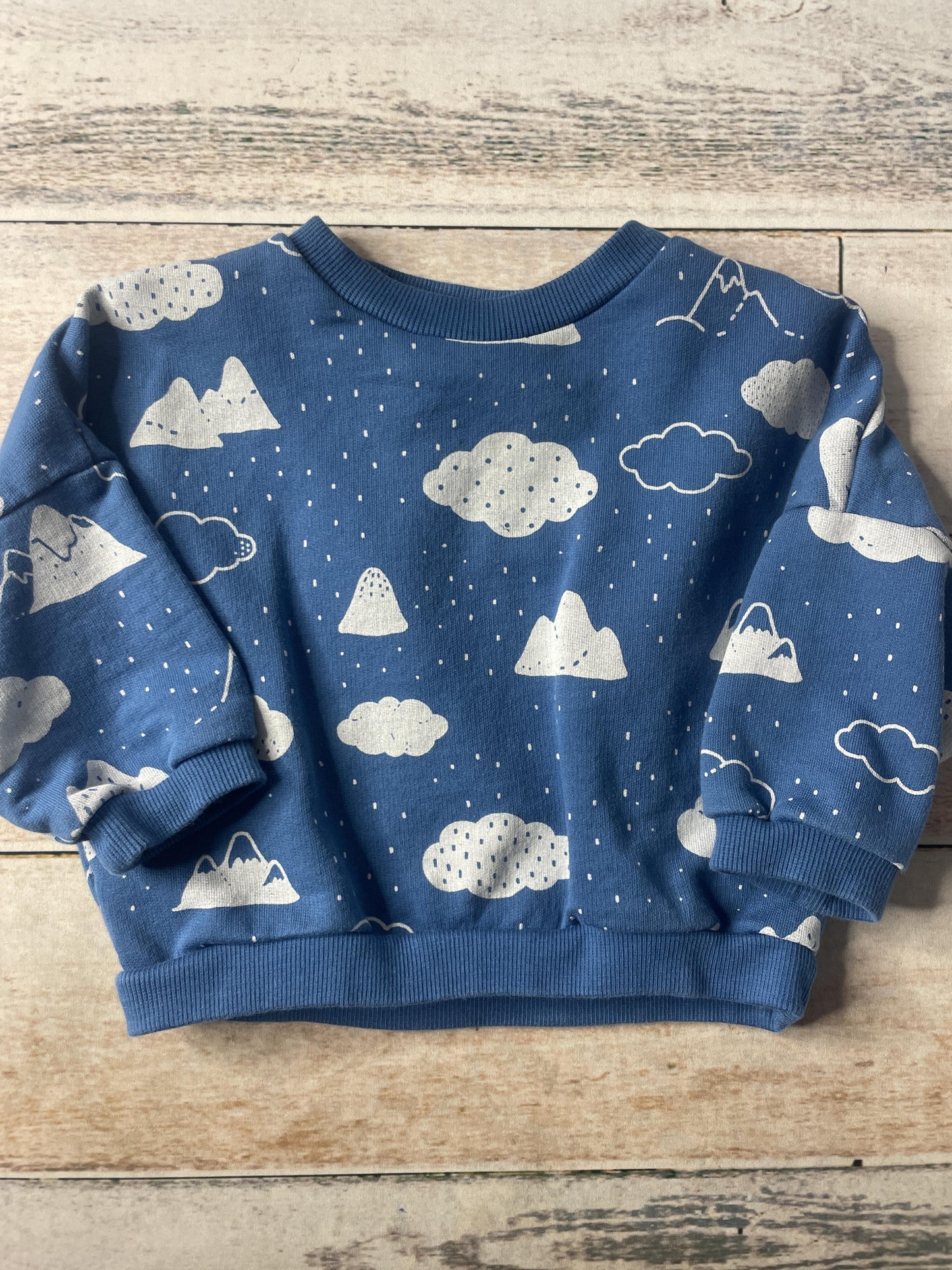 Red Caribou Boys Blue | Clouds Sweatshirt Size: 9-12 Months Blue | Clouds
