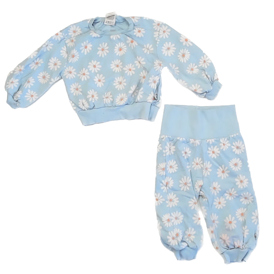 Honest Baby Clothing Girls Blue | Daisy Floral Apparel Sets Size: 12 Months Blue | Daisy Floral