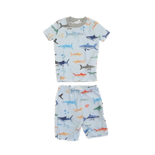 Pottery Barn Kids Boys Blue Fish 2-piece Pajamas Size: 3T Blue Fish