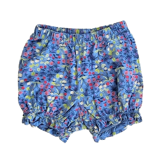 Tea Collection Girls Blue Floral Shorts Size: 3T Blue Floral