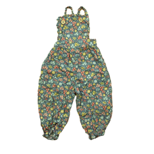 Shrimp & Grits Kids Girls Blue Floral Jumper Size: 18 Months